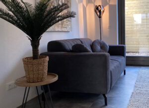 Medium sized tropical plant in living room